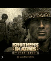 Brothers In Arms 3D: Earned In Blood-352x416 
